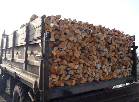 Бизнес идея для села: заготовка и продажа дров