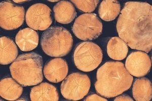 Бизнес идея для села: заготовка и продажа дров
